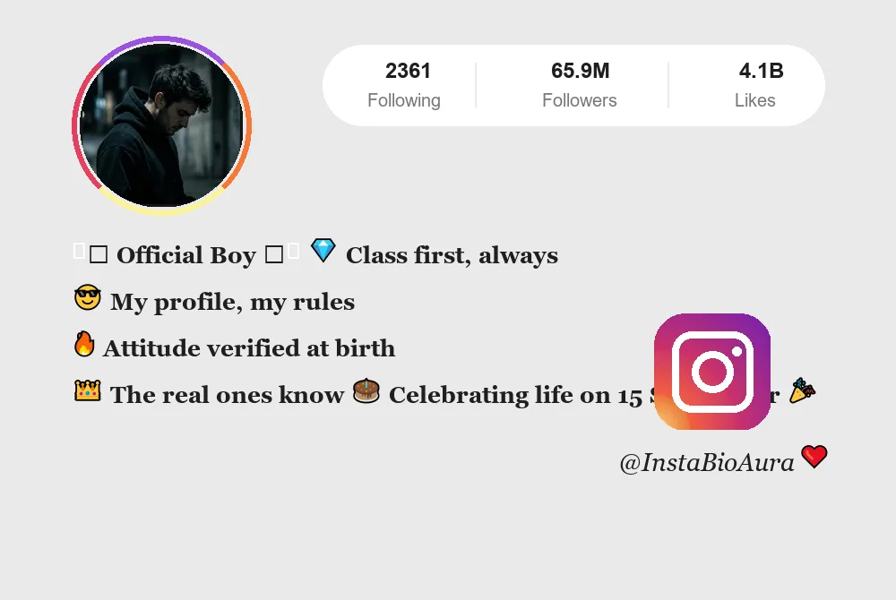 Best Instagram Bio for Boys in English | Attitude & Cool Profiles