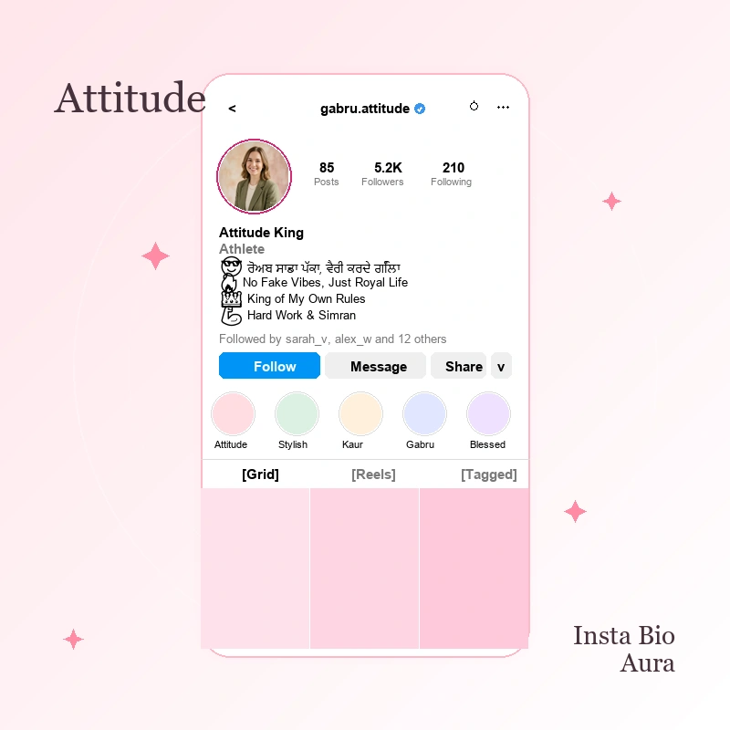 Punjabi Attitude Bio for Instagram copy paste