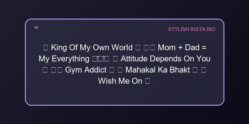 Stylish Instagram Bio For Boys Bio Card 2 | InstaBioAura Instagram Bios