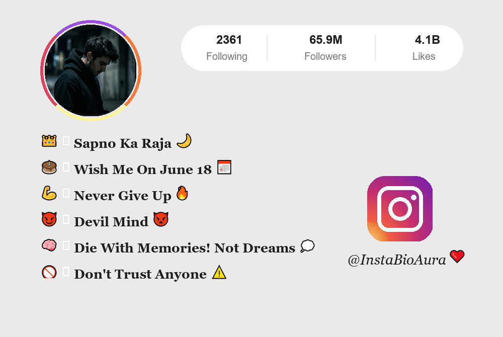 Vip Stylish Instagram Bio | InstaBioAura Instagram Bios