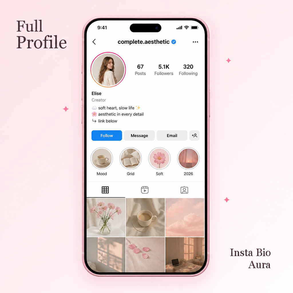 Full aesthetic Instagram profile examples for girls with bio name and highlights