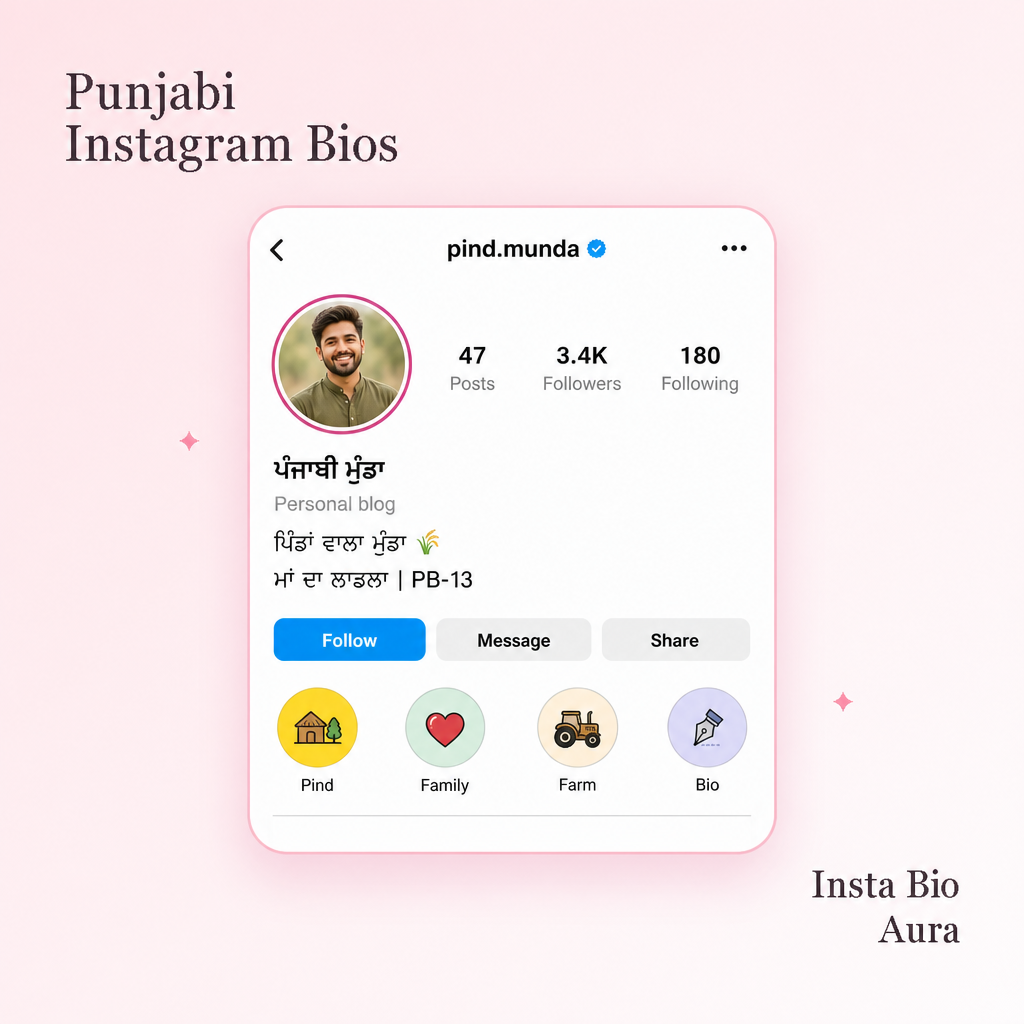 15 best Punjabi Instagram bios to copy and paste