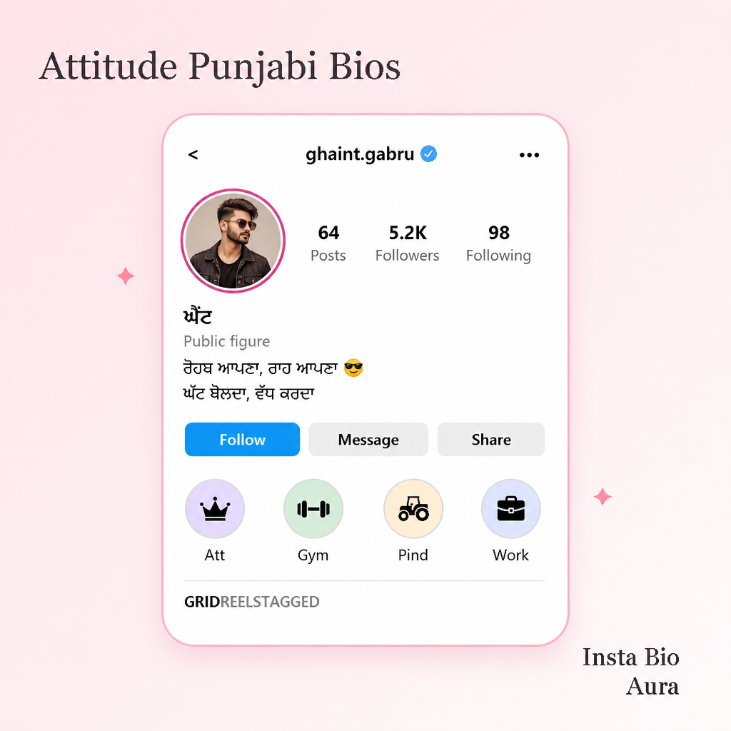 Attitude Punjabi Instagram bios for boys