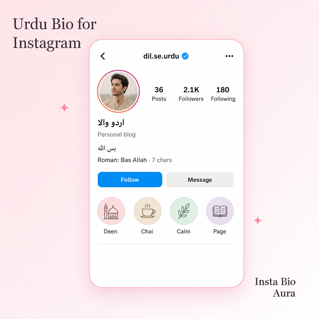 What makes a good Urdu Instagram bio checklist